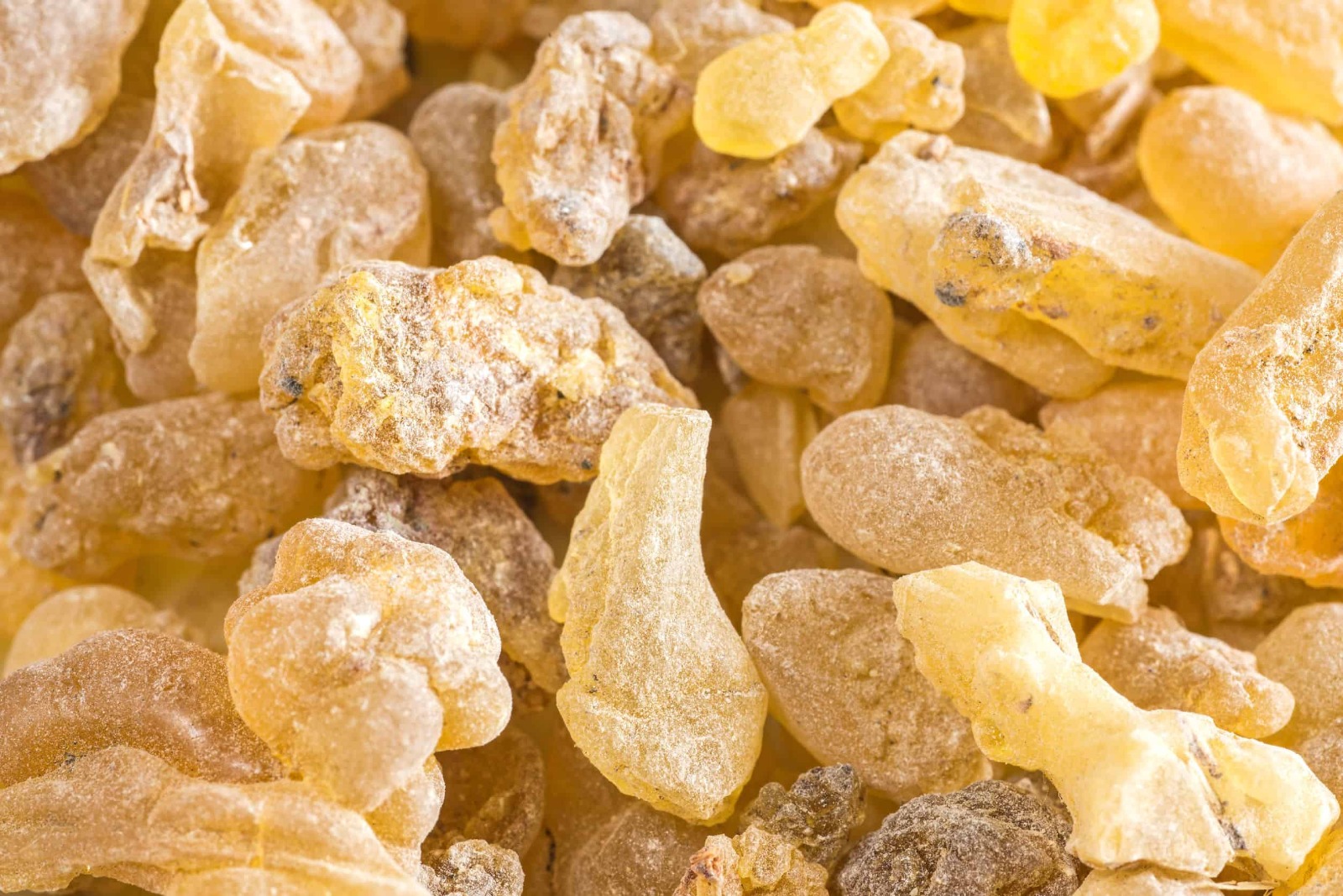 Boswellia (Shallaki)